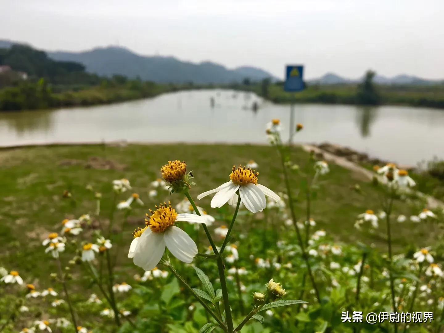 珠海附近有哪些可旅游的小岛,珠海有哪些小岛可以旅游的