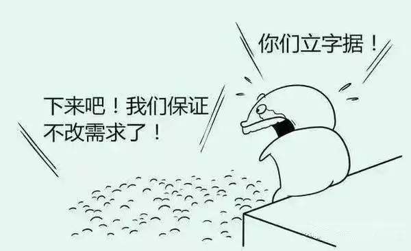 dns协议是哪一层协议,dns协议叫什么协议