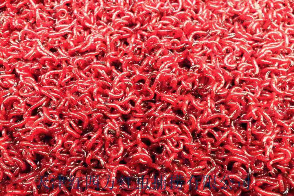 串钩钓法需要打窝吗,抛竿串钩钓鱼技巧教程