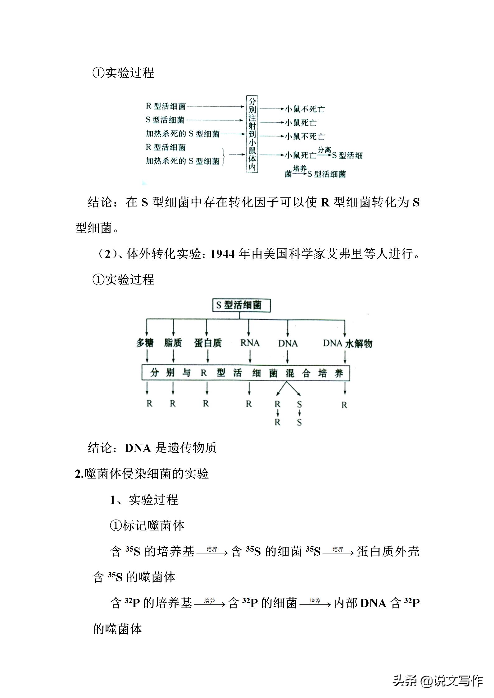 高中生物必修二减数分裂有丝分裂,人教版高中生物必修二课本电子版
