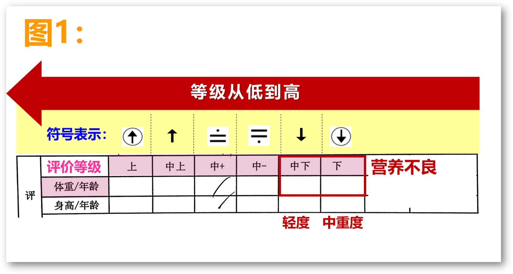 看体型怎么判断孩子能长高,如何判断孩子偏矮偏瘦