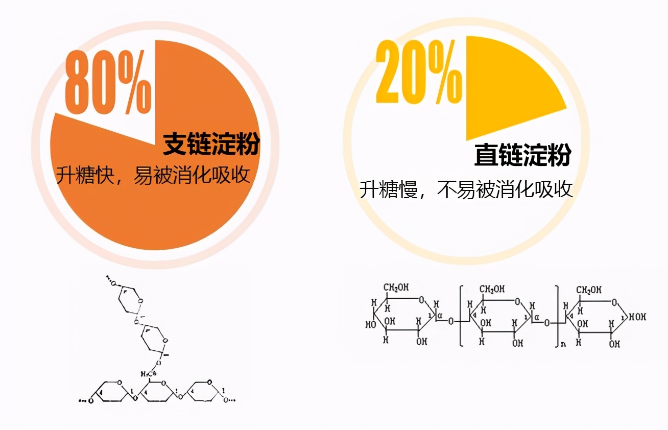 十大建议买的电饭锅有哪些,选择电饭锅避坑指南