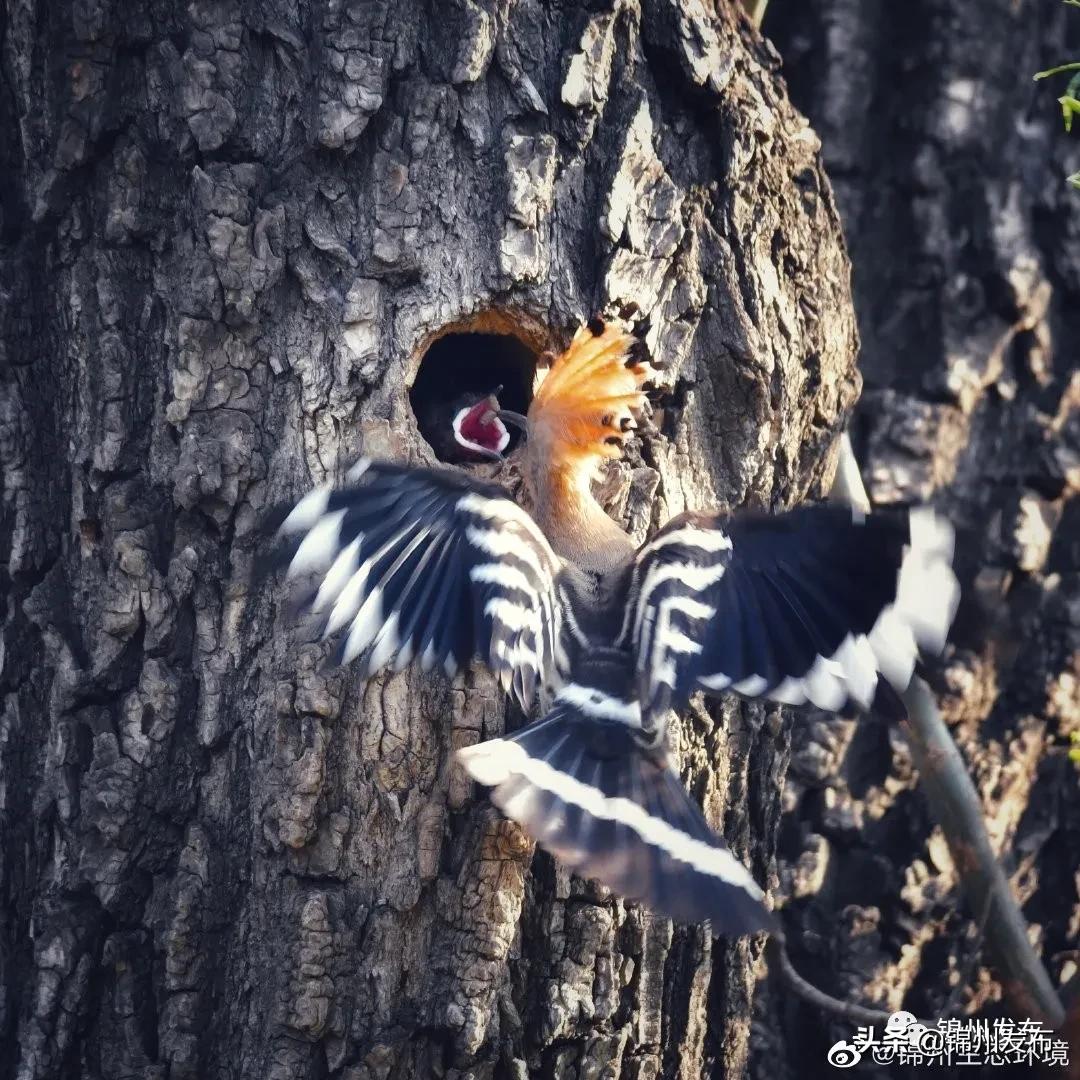 保护母亲河护渔行动,保护绿水青山在行动