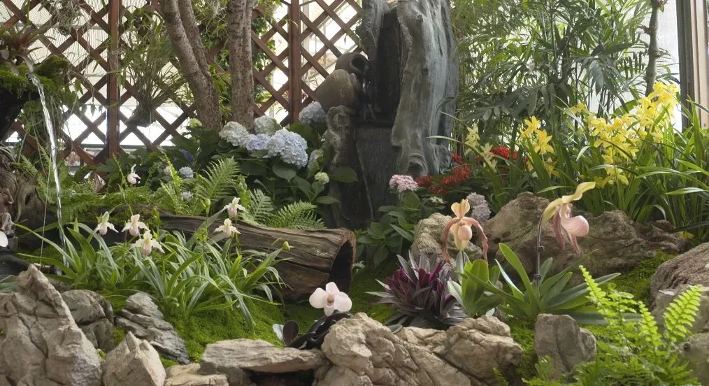 致富经：一株草要价上百万？兰花让我一夜暴富