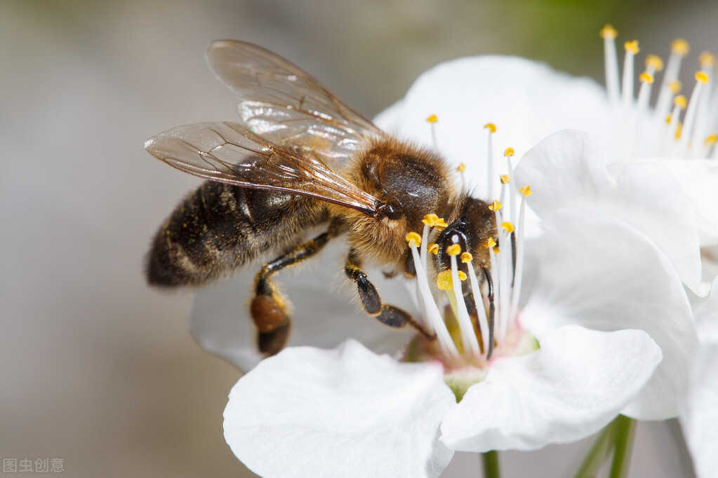 前列腺炎≠不育！男性生殖健康与多种因素有关，不良生活习惯需要改变
