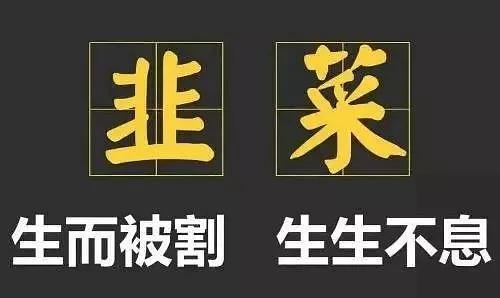 在线学雅思课程,在线学雅思