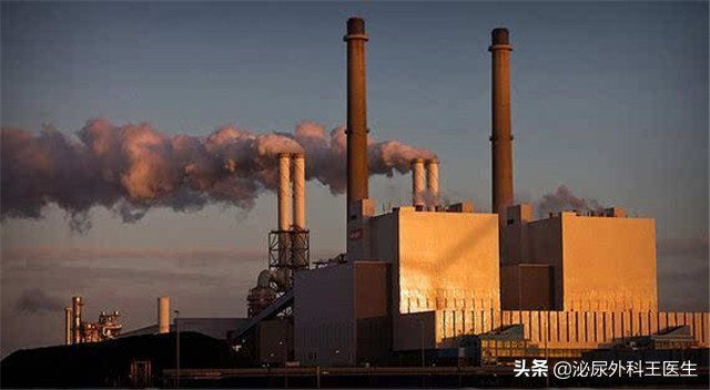 备孕提升精子质量的药,高龄如何提升精子质量