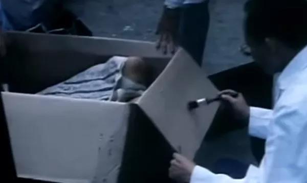 纸盒藏尸案，用电焊灼烧阴毛……