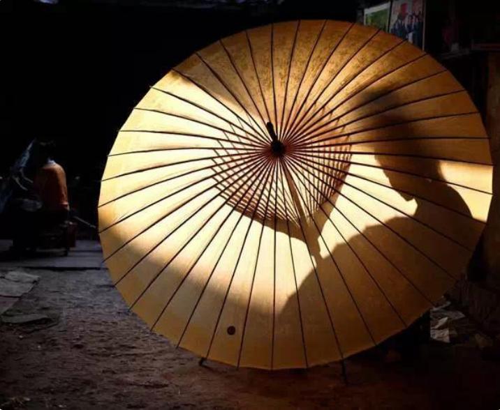 千棵棕万棵桐好不好,千棵棕万棵桐的寓意