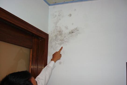 家具受潮如何烘干,家具受潮发霉有什么办法