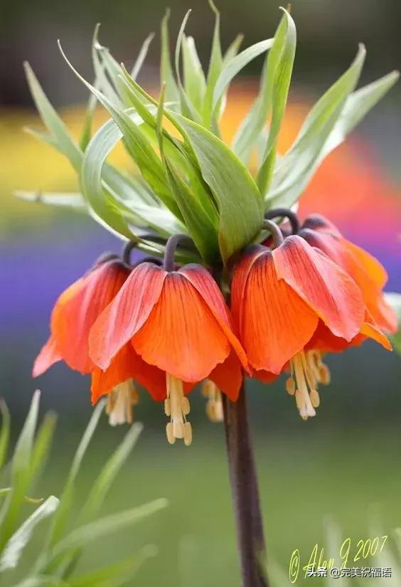 六一相册影集,六一照片专场