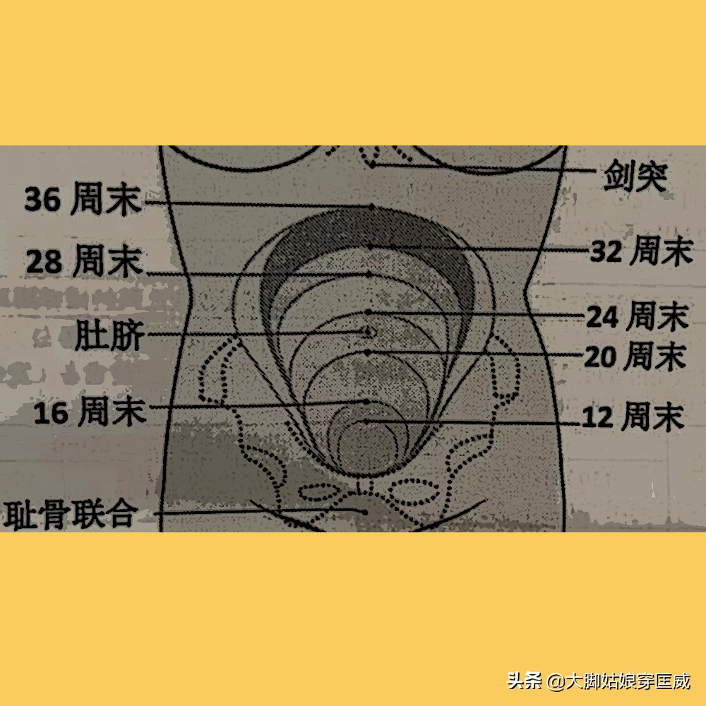 准妈妈们千万不要用家用胎心仪,玻璃心妈妈必备的胎心仪