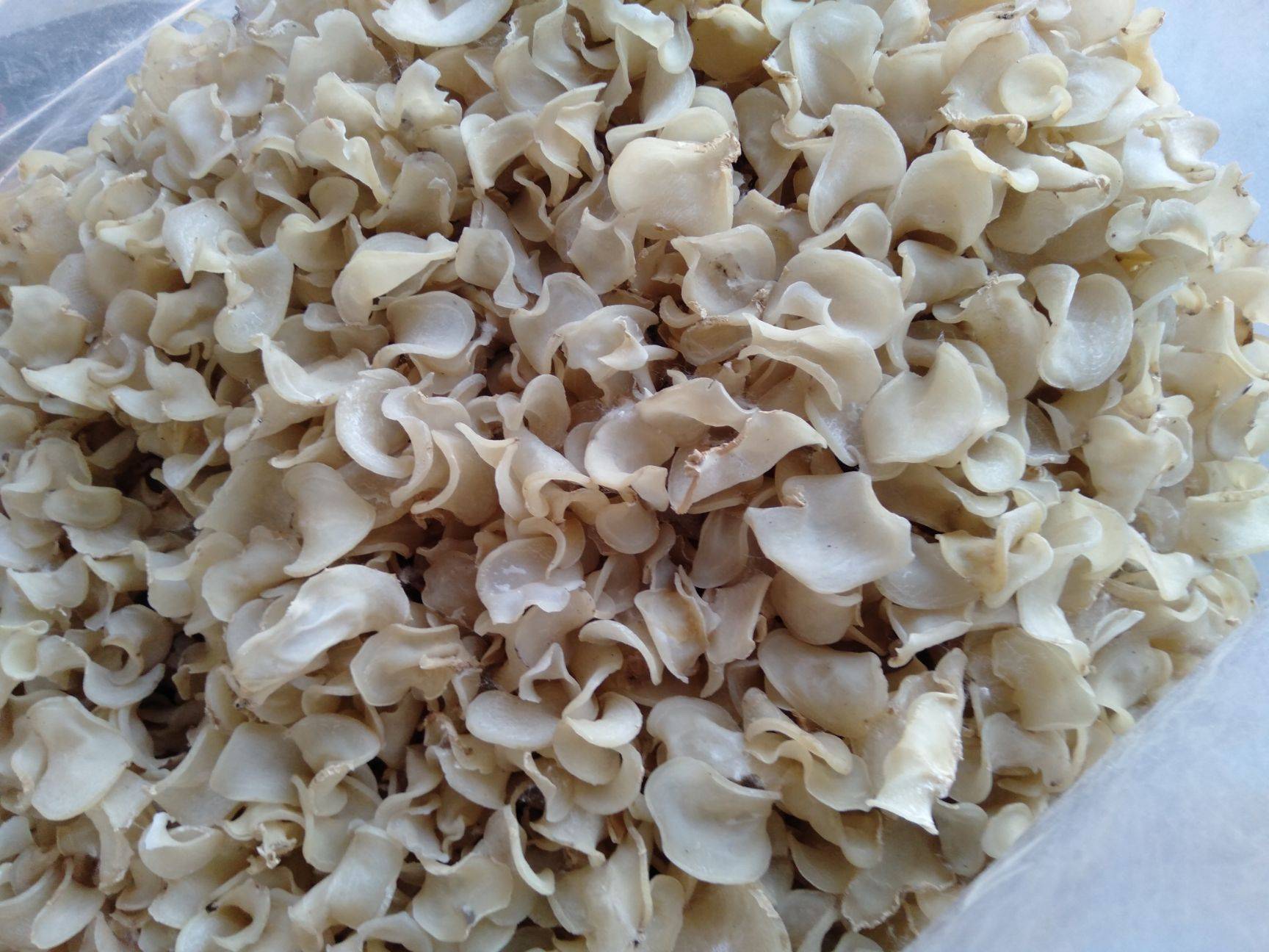 秋冬季节最常吃的8种干菜,用冷水还是热水泡发?这些秘籍教给你