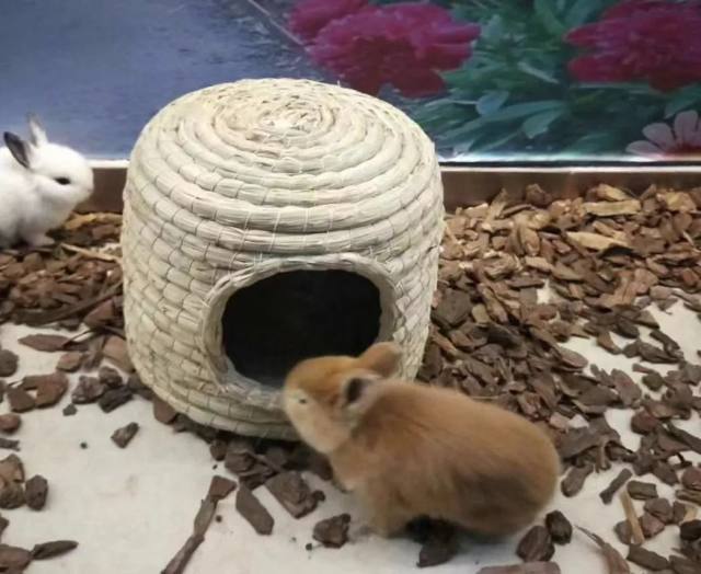 2024年锦绣江山全国旅游年卡,98元锦绣江山京津冀联名年卡