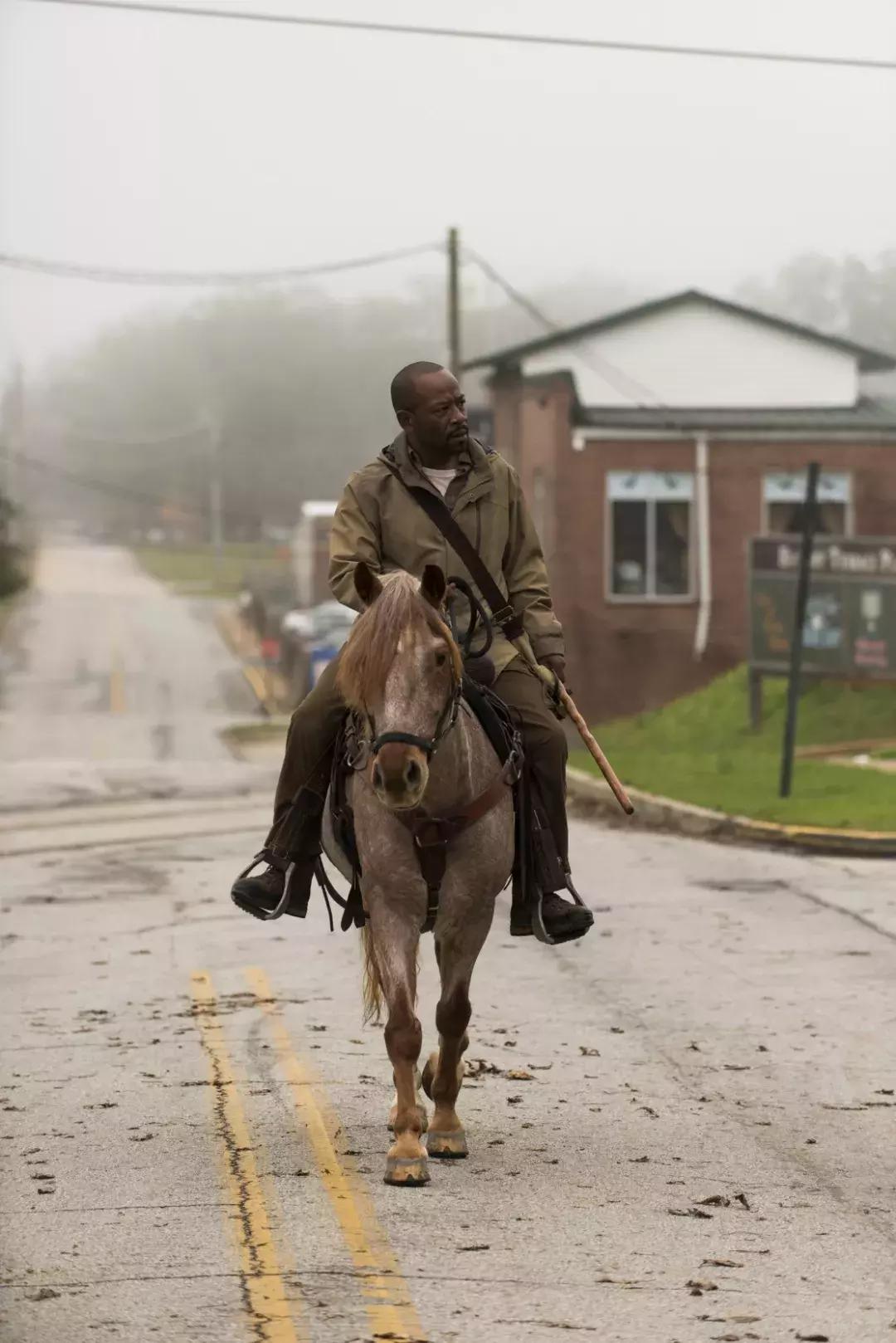 行尸走肉目前到第几季了,行尸走肉复播