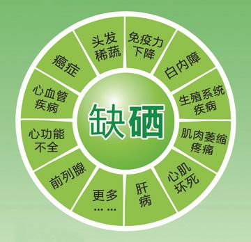 从“月亮女神”到人体必需人类追寻它用了200年