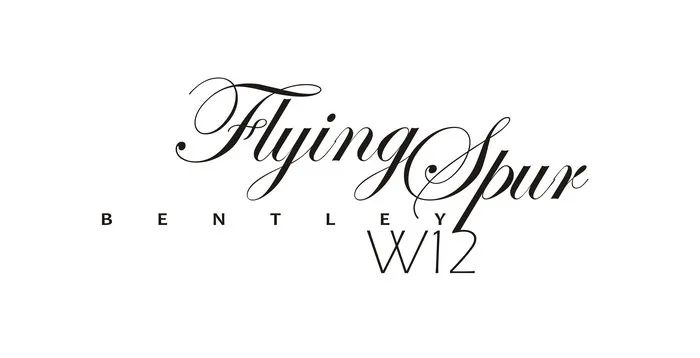 宾利飞驰对比迈巴赫s480气场,宾利飞驰街拍气场霸气视频