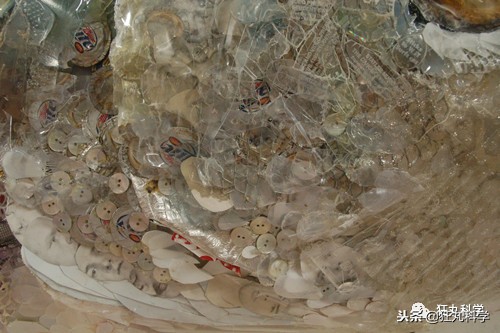 閫忚澶栨寕鐪熺殑鍋囩殑,閫忚澶栨寕鐪熷疄浜嬩欢