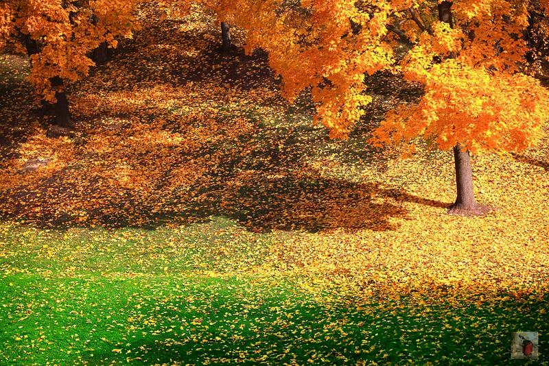 俄罗斯顶级奢华地方,绝美的风景俄罗斯