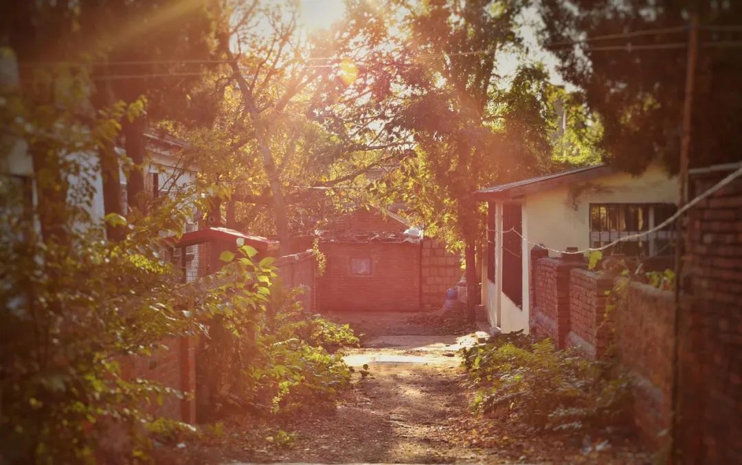 去大连海边玩一趟要多少钱,去海滨城玩有什么攻略