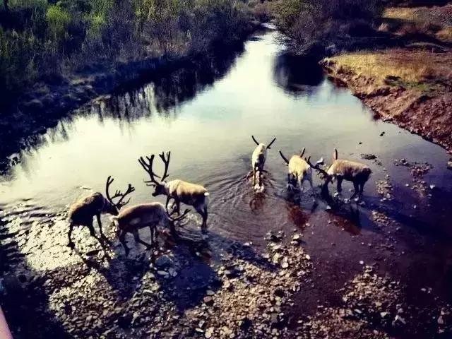 五一假期闺蜜去大兴安岭穷游,闺蜜自驾大草原