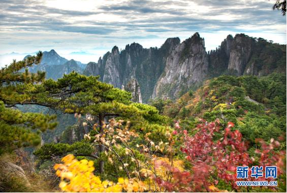 仲夏夜的梦，带你来黄山感受~