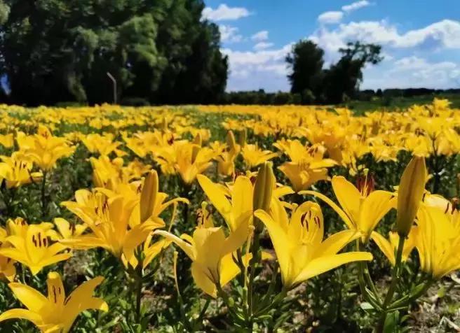 北京延庆旅游攻略必去景点,延庆旅游攻略百里画廊
