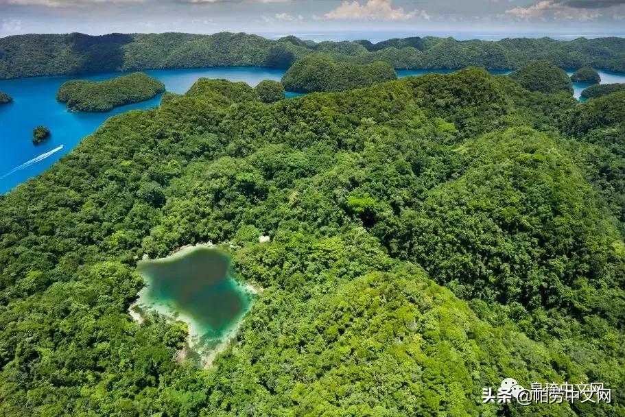 甯曞姵姘存瘝婀栫殑姘存瘝鍙互鎽稿悧,甯曞姵姘存瘝杩樿兘鎶撳悧