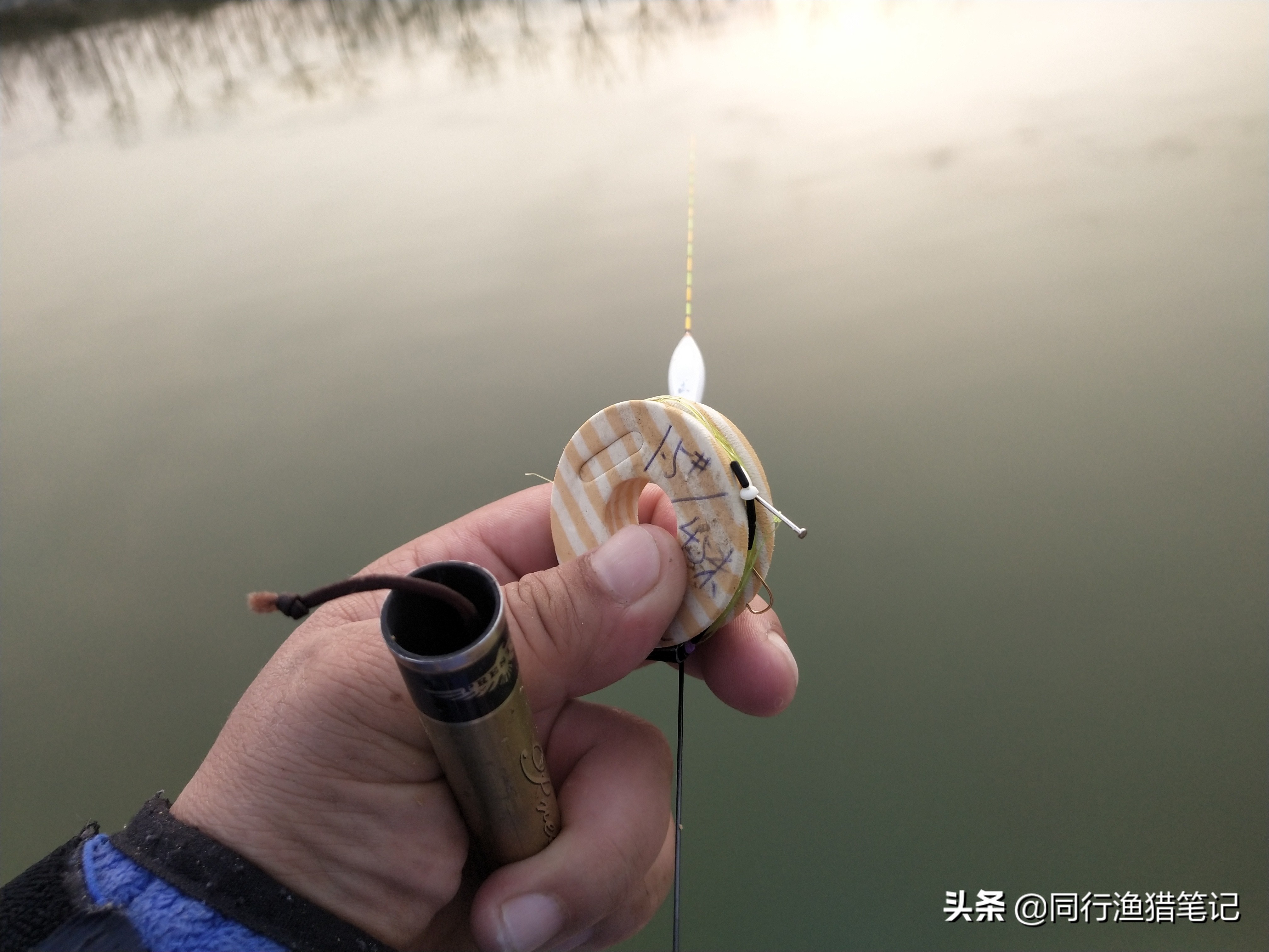 肥水缺氧鱼上浮不开口怎么钓,水肥鱼口不好