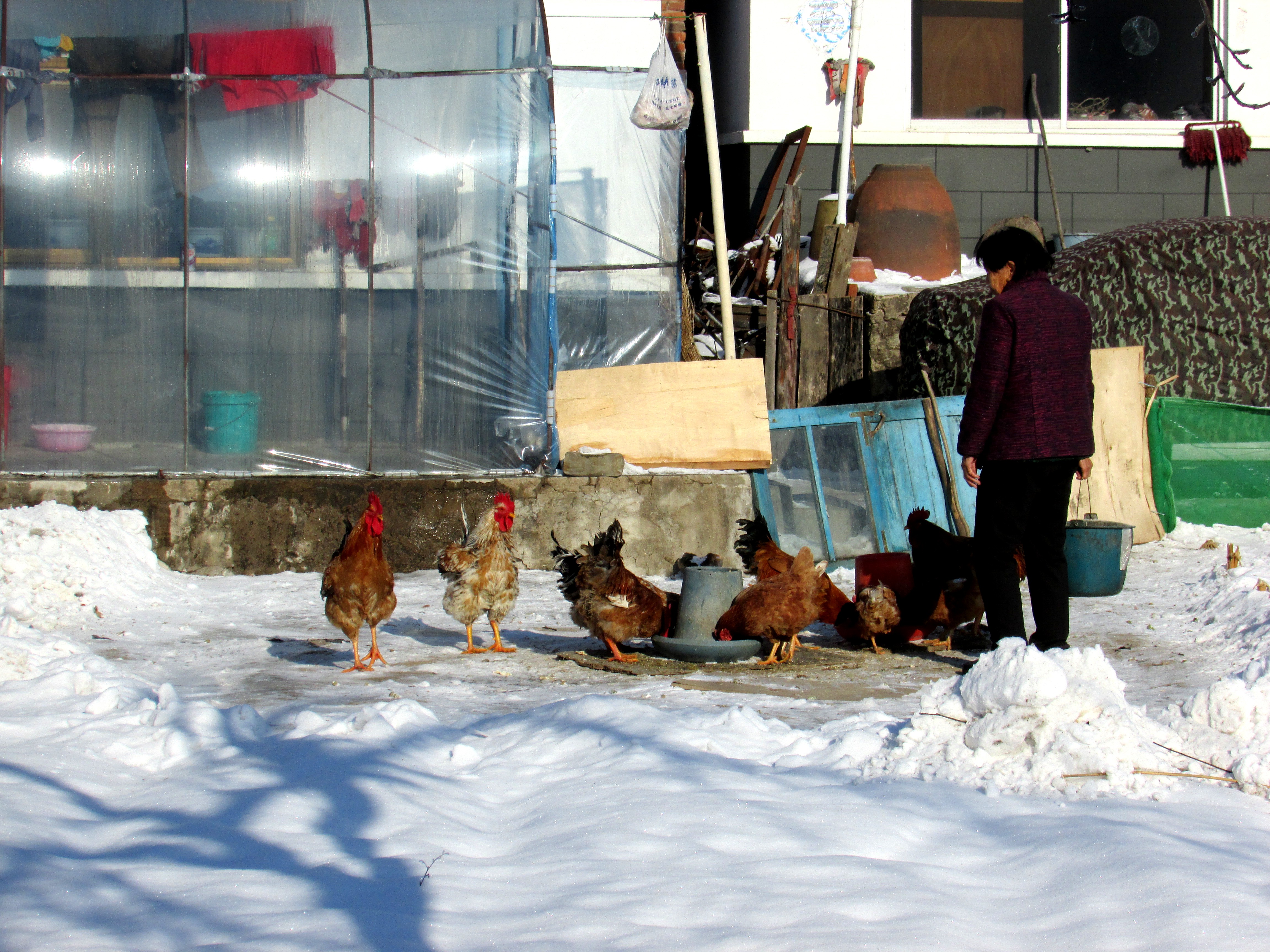 本溪湖里村冬季景色,本溪湖里村景色视频