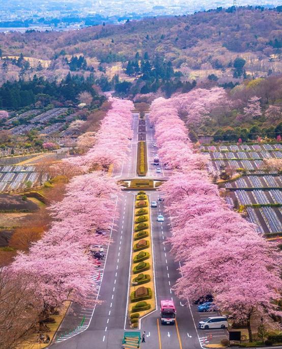 是心动啊，樱樱樱樱樱樱樱樱樱