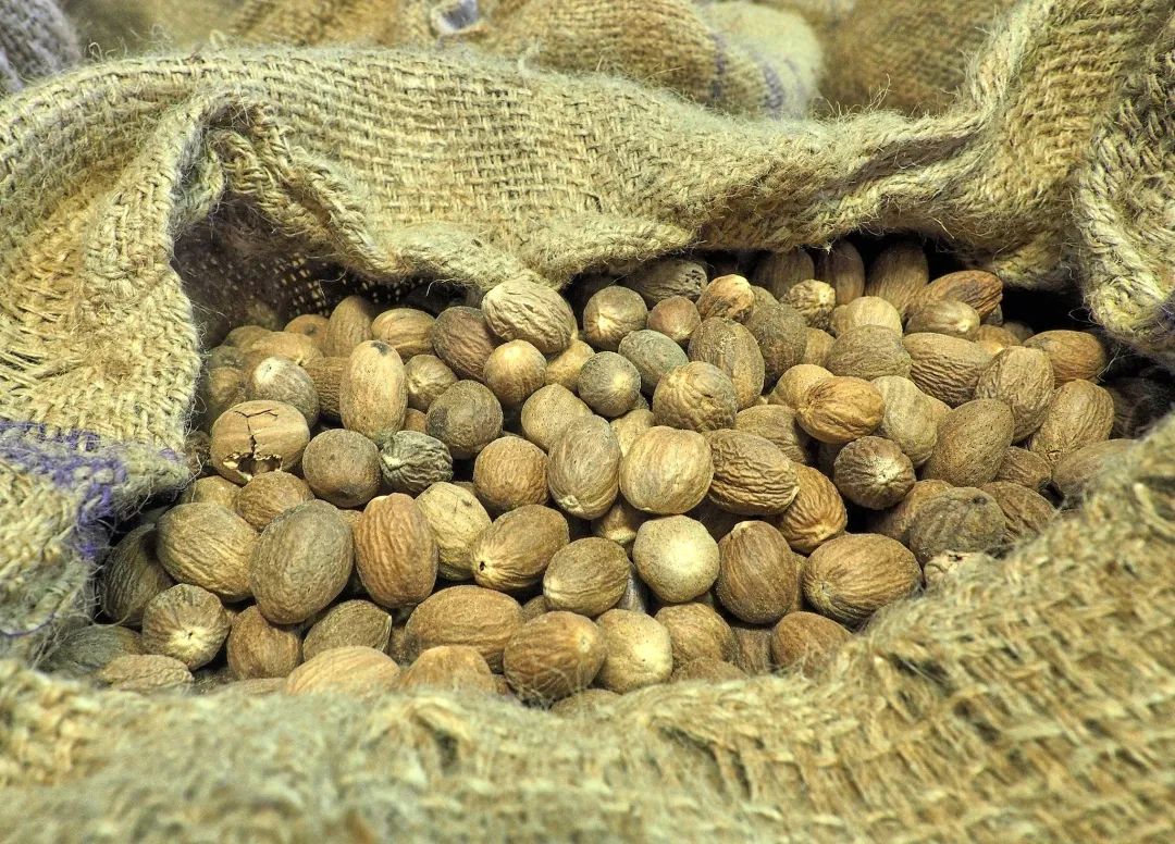 肉豆蔻荷兰西班牙,肉豆蔻历史