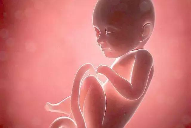 细菌影响基因发展吗,细菌的影响