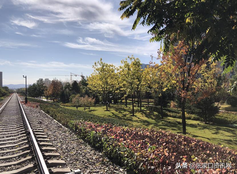 张家口新开的主题公园,张家口大好河山景观区夜景