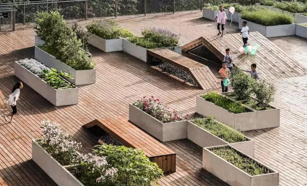 “双减”在两江|金山·云翠小学：关注学生个性发展让教育“智慧”更“至善”