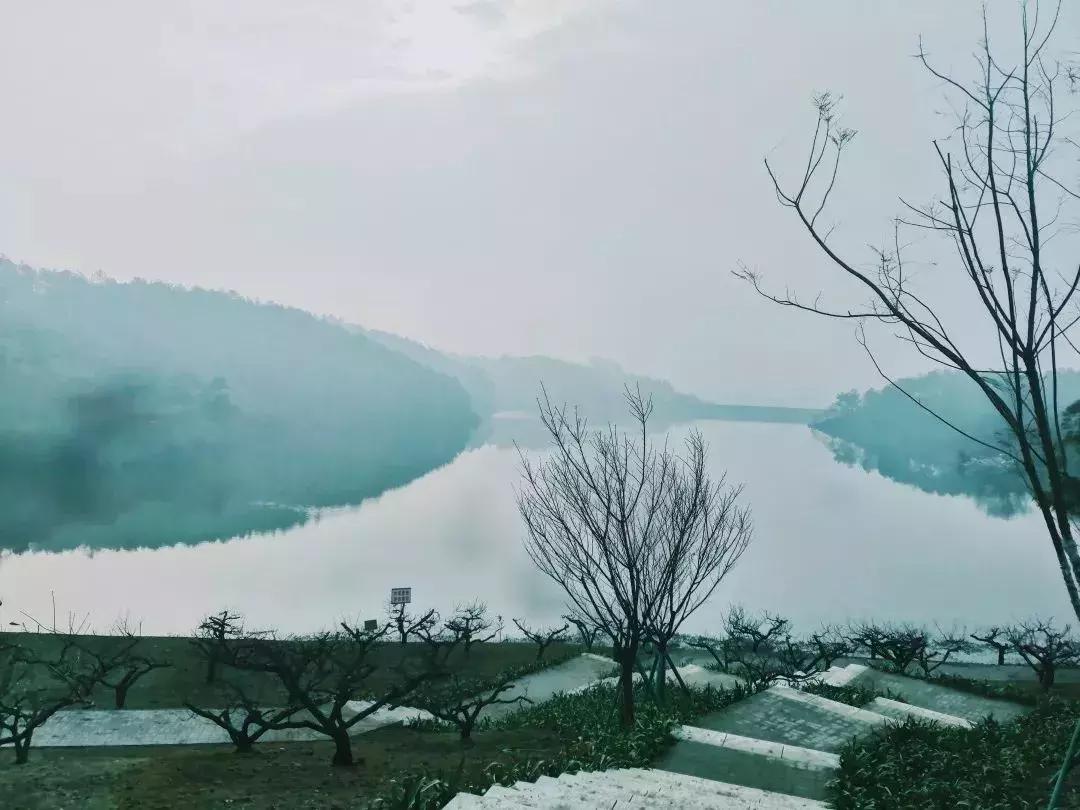 双流夜景必打卡之地,成都双流免费打卡景点