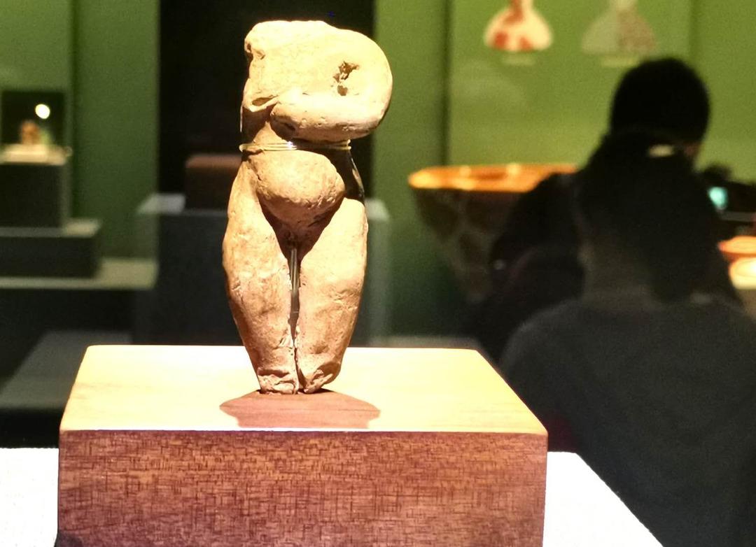 沈阳市新闻12月5日,沈阳新闻15日微博