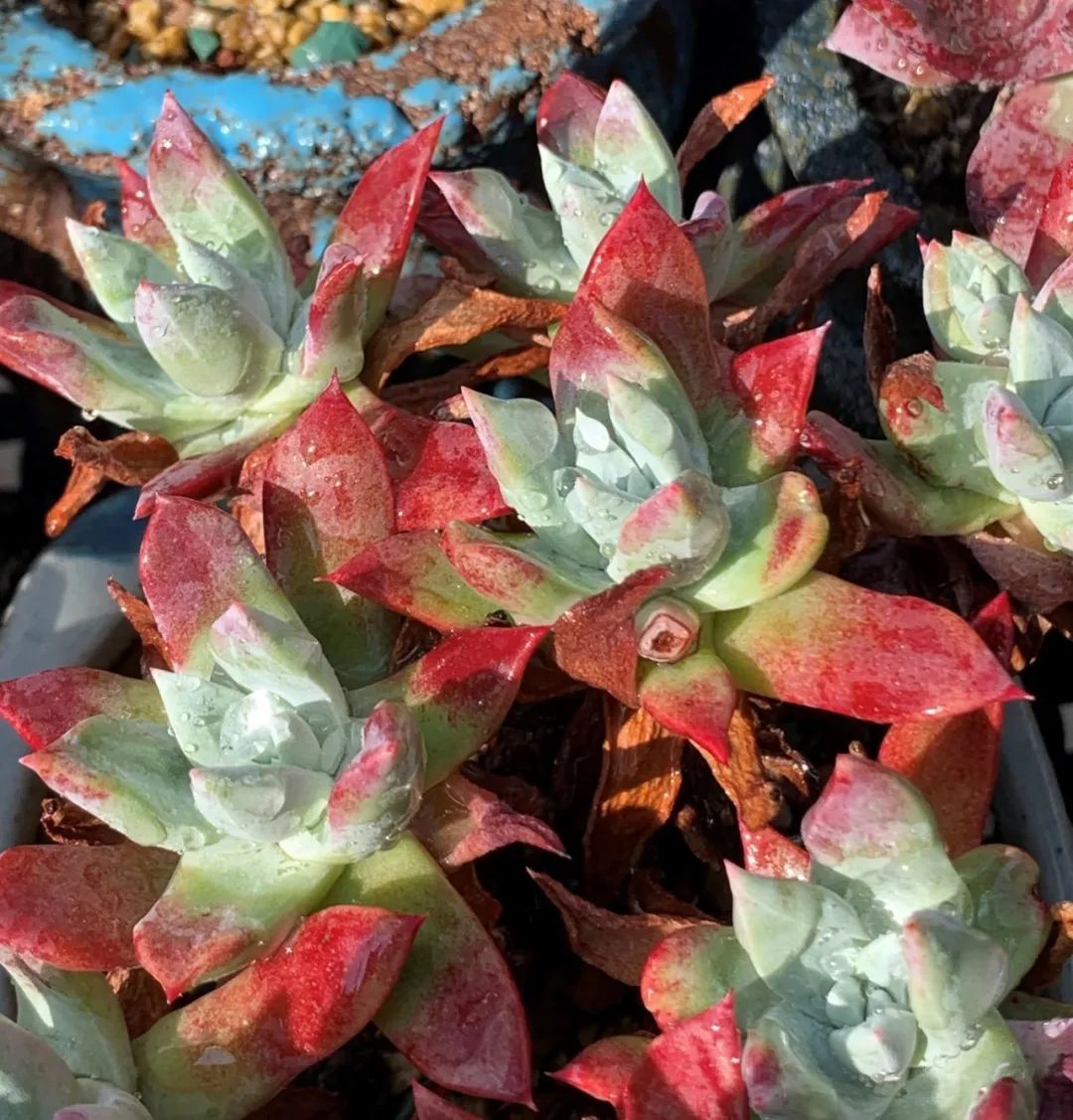 禁足的日子收获颇多,禁足