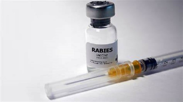 严家新讲解狂犬病十日观察法,狂犬病十日观察法是什么意思