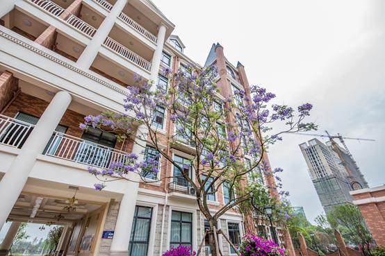 新川外国语学校建校时间,新川外国语学校2021年