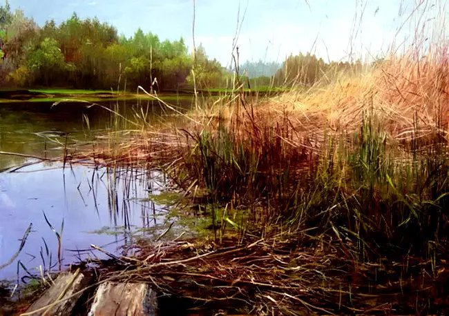 喀拉刨柯油画作品欣赏,瑞典油画人物画