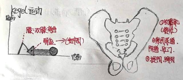 孕期加强版运动减肥,孕妇减肥操长胎不长肉34周