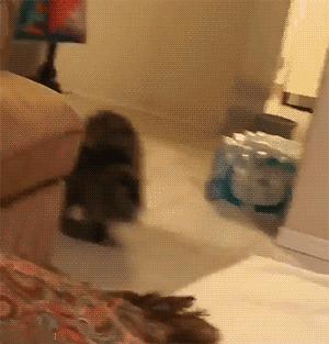 赌100袋辣条,赌十包辣条