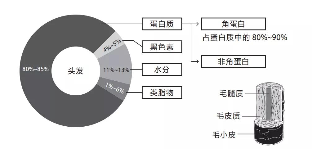 脱发不要错过任何生发产品,脱发生发小知识