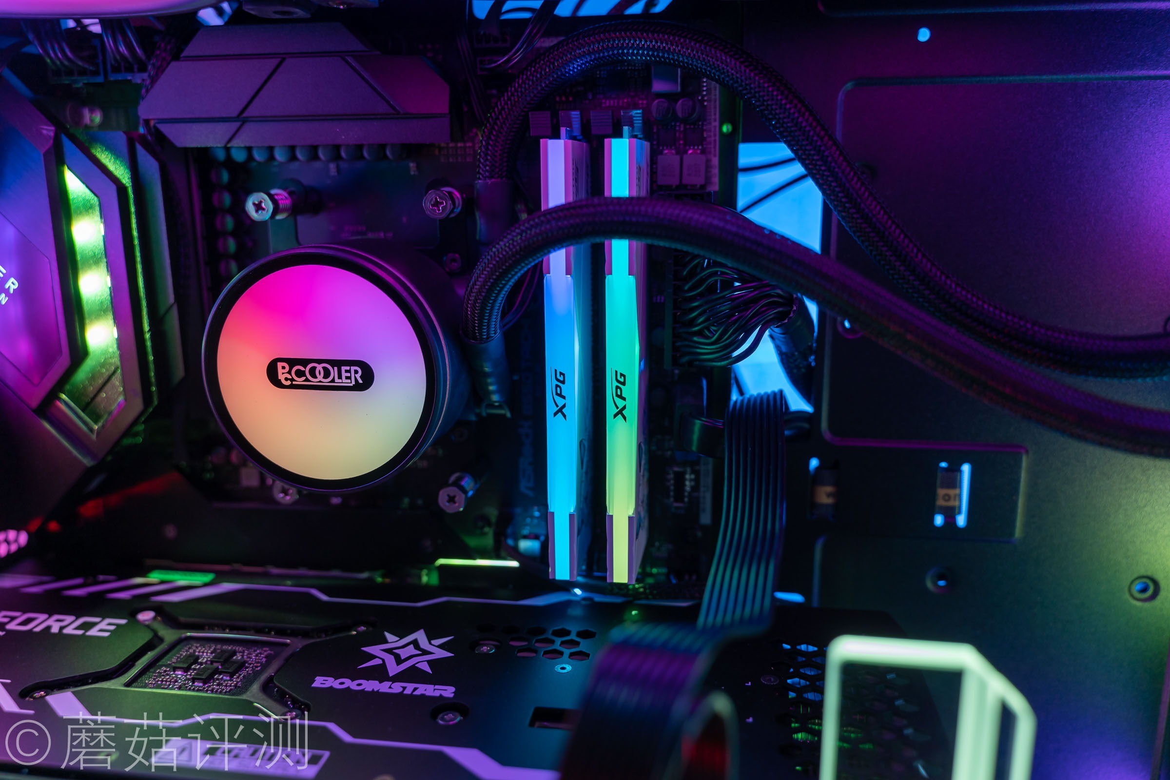 威刚龙耀d50吹雪联名用的什么颗粒,龙耀d50吹雪和普通版有什么区别