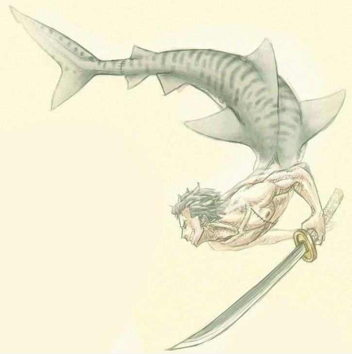 海贼王布鲁克初见娜美罗宾,娜美罗宾布鲁克变小