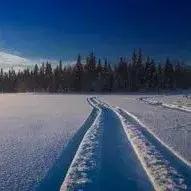 怀孕一个多月老是流血什么情况,怀孕三个月老是出血怎么办