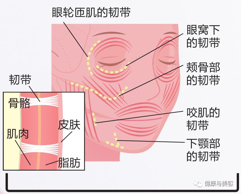 谢娜示范瘦脸操，5秒钟按压操消除法令纹！