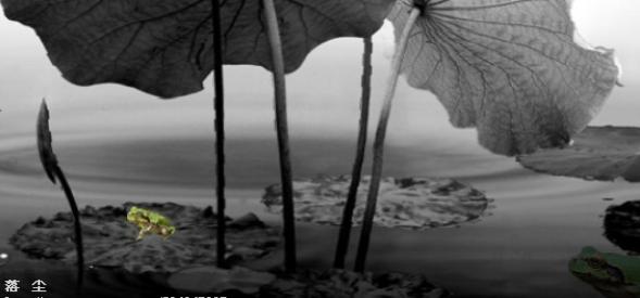 心如烟雨原创的音乐,心如烟雨