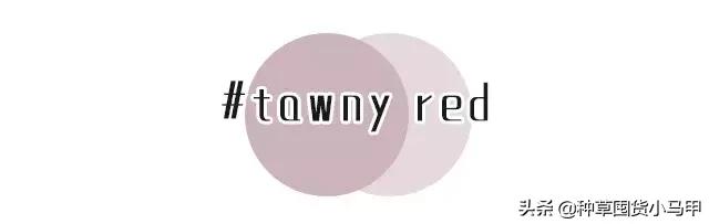 售卖假货引众怒,专柜售假